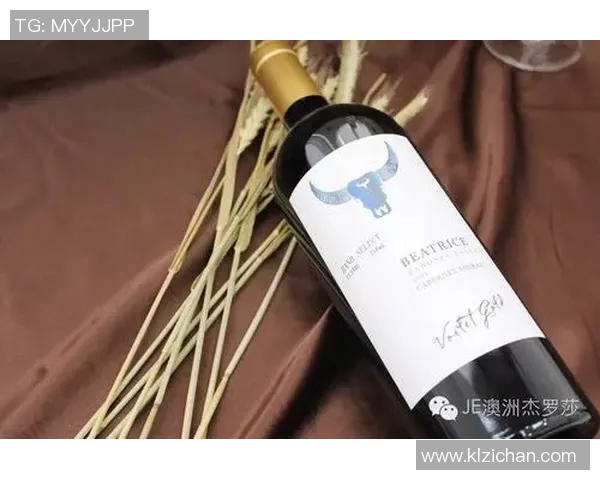 加克波的崛起之路:从默默无闻到足球世界的璀璨明星 加克波的崛起之路:从默默无闻到足球世界的璀璨明星